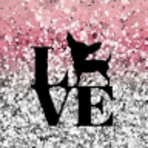 Meet your Posher, Donovan